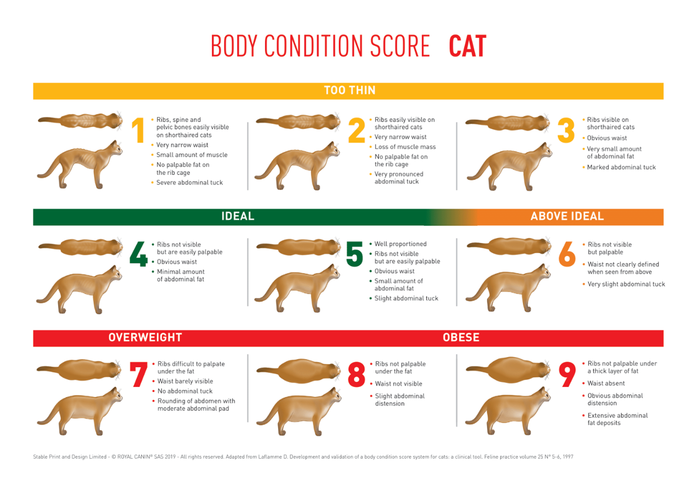 Body Condition Score chart for cats